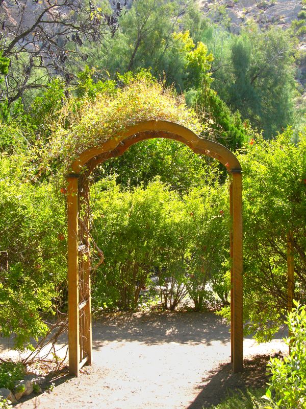 Arbor Replacement in Alpharetta, GA